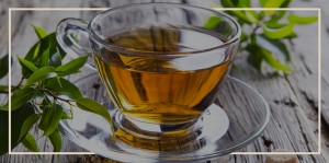 tea shop