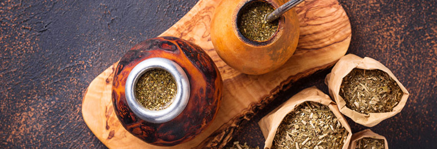 Bienfaits nutritionnels du Yerba Maté